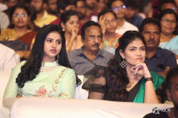 Hit Movie Pre Release Event